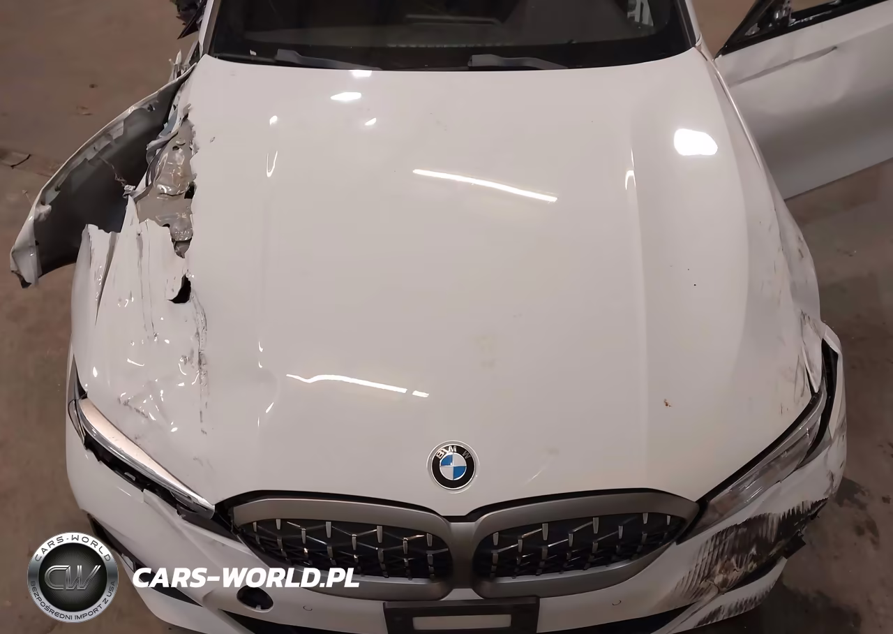 2021 BMW 3 Series M340I xDrive VIN:3MW5U9J07M8B56090 - 10