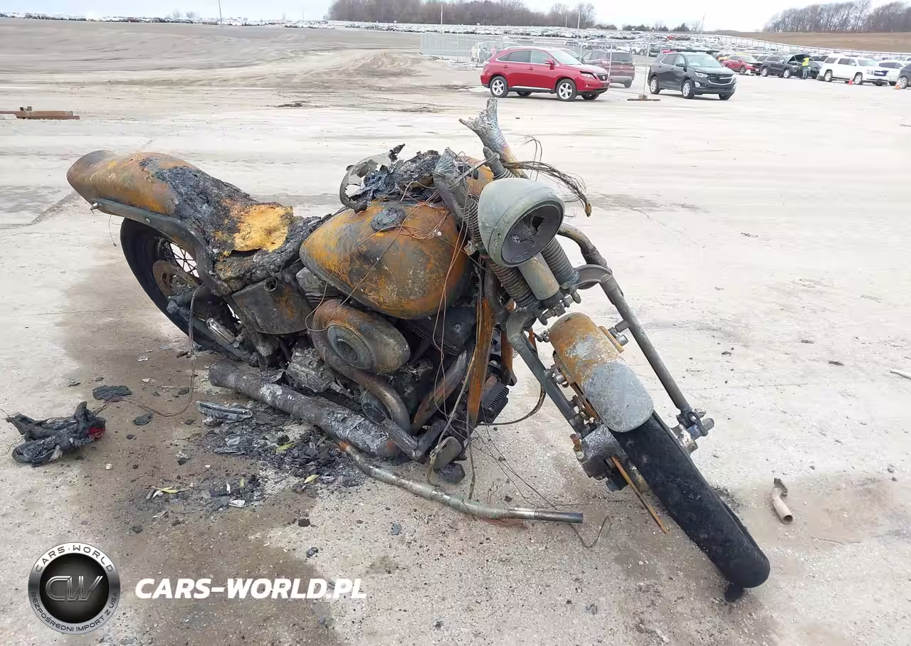 2000 Harley-Davidson Fxsts