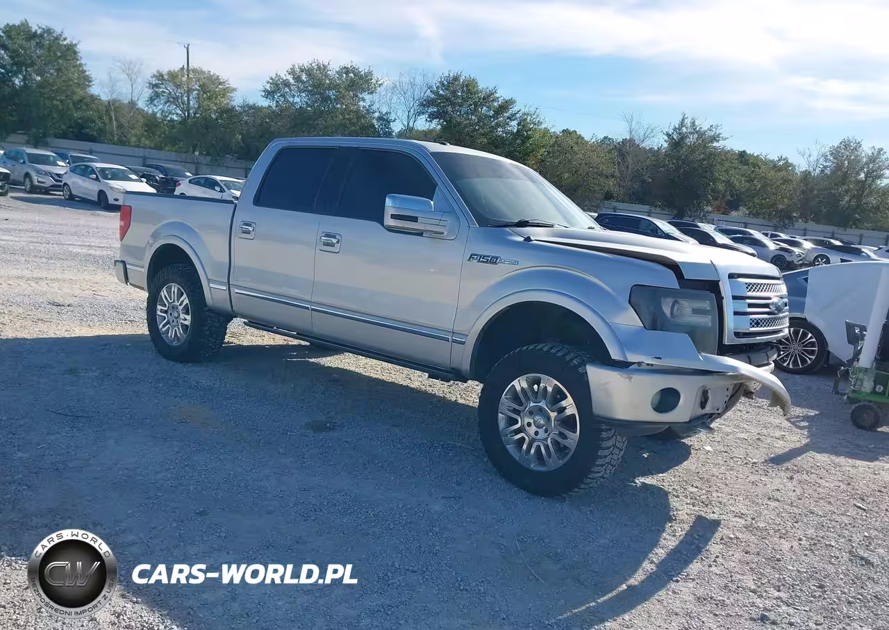 2013 Ford F-150 Platinum