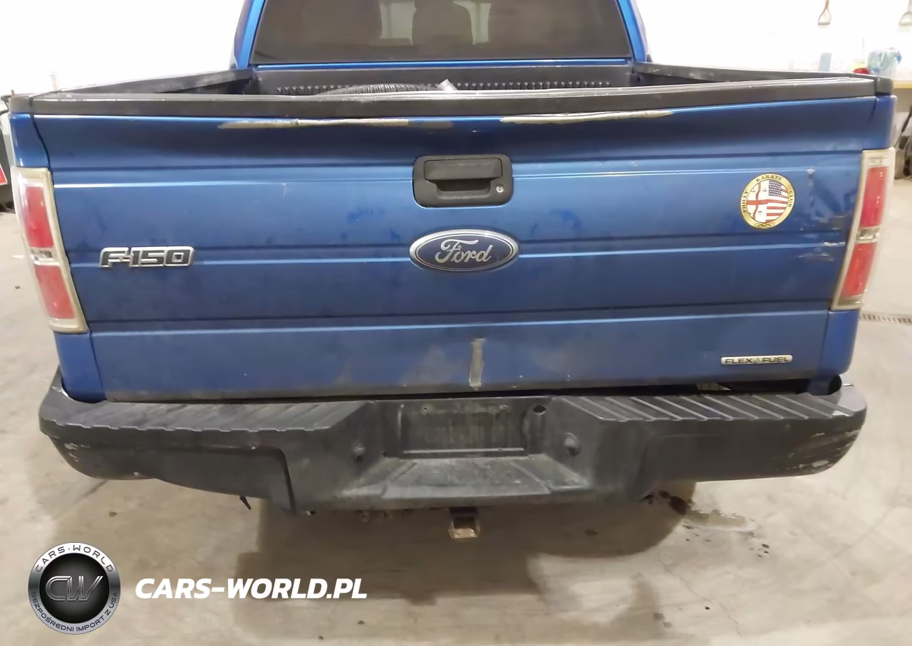 2012 Ford F-150 Xlt VIN:1FTFW1EF3CFB37351 - 19