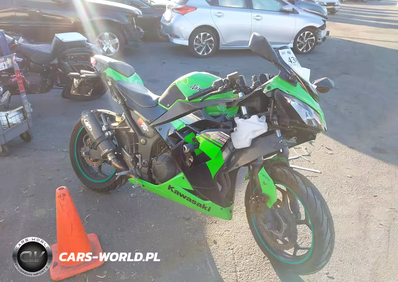 2013 Kawasaki Ex300 B