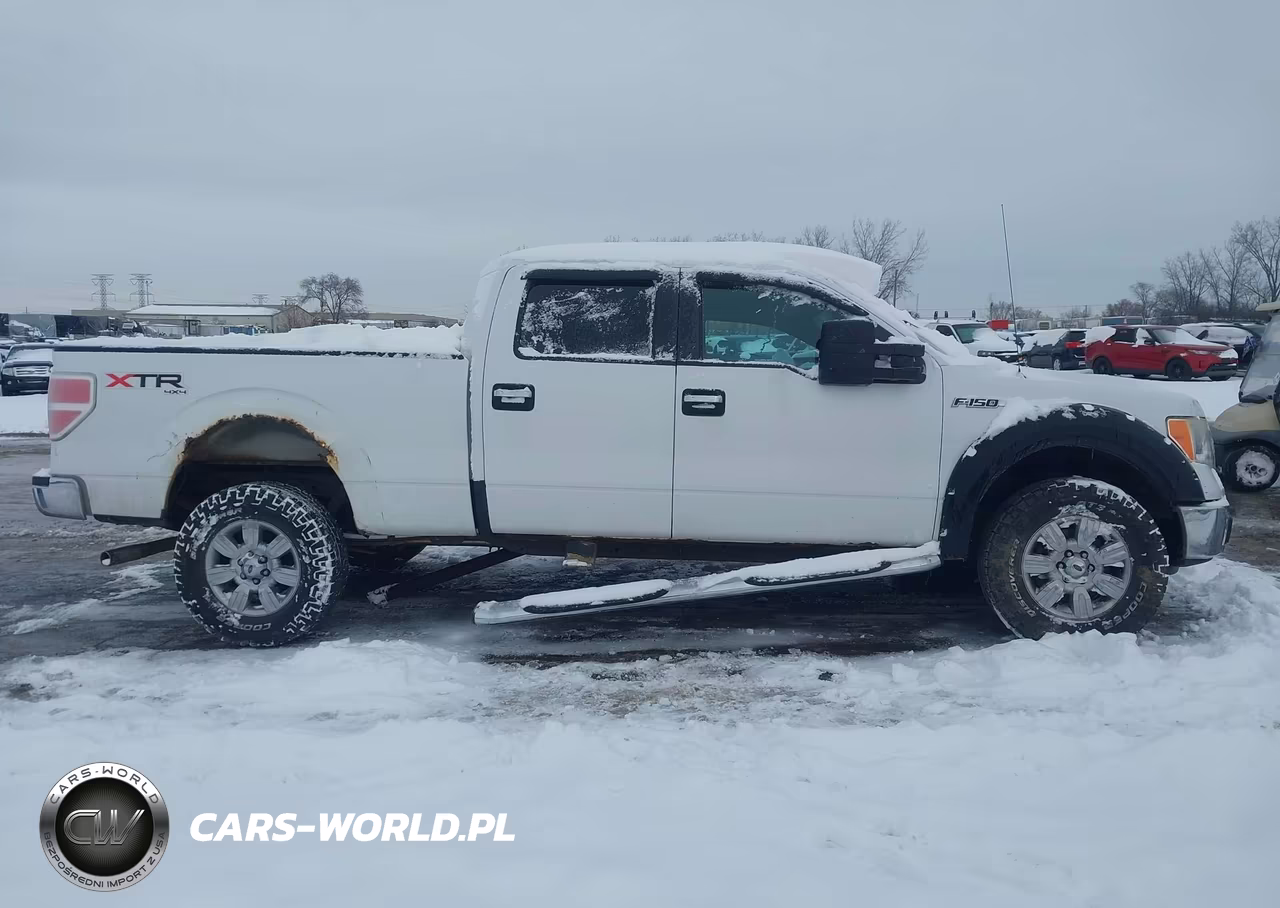 2010 Ford F-150 Fx4-Harley-Davidson-King Ranch-Lariat-Platinum-Xl-Xlt VIN:1FTFW1EV3AFA59402 - 12