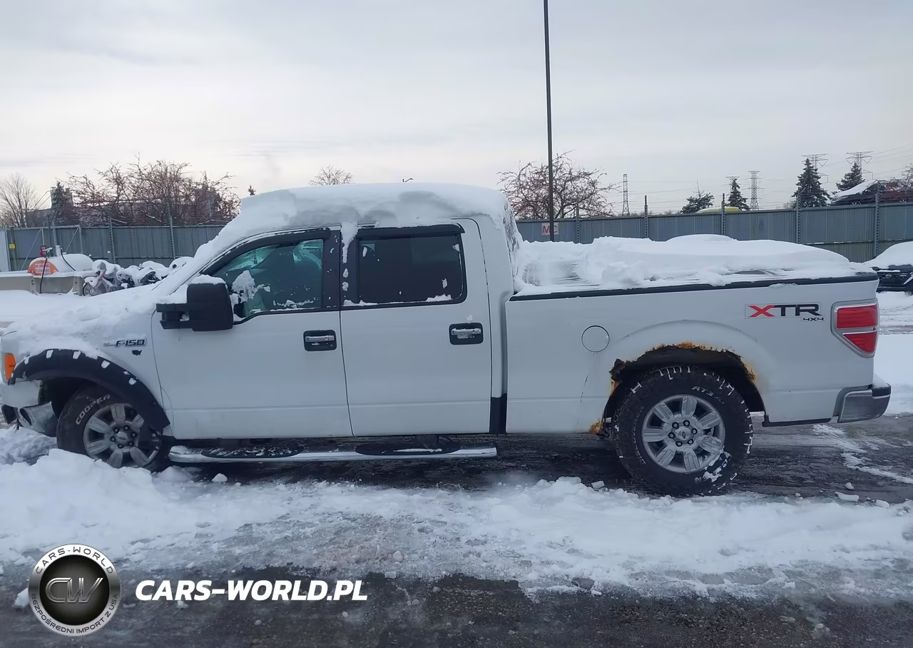 2010 Ford F-150 Fx4-Harley-Davidson-King Ranch-Lariat-Platinum-Xl-Xlt VIN:1FTFW1EV3AFA59402 - 13