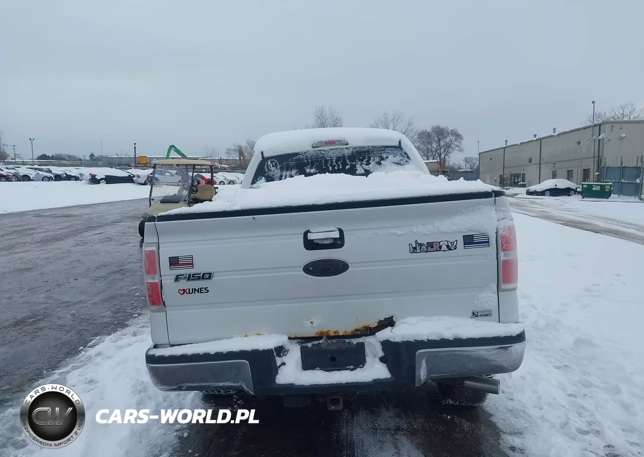 2010 Ford F-150 Fx4-Harley-Davidson-King Ranch-Lariat-Platinum-Xl-Xlt VIN:1FTFW1EV3AFA59402 - 15