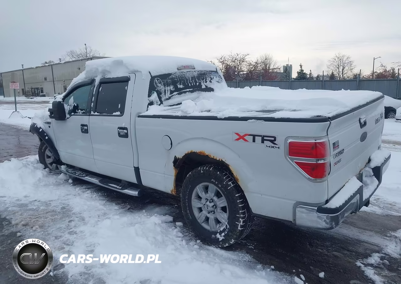 2010 Ford F-150 Fx4-Harley-Davidson-King Ranch-Lariat-Platinum-Xl-Xlt VIN:1FTFW1EV3AFA59402 - 3