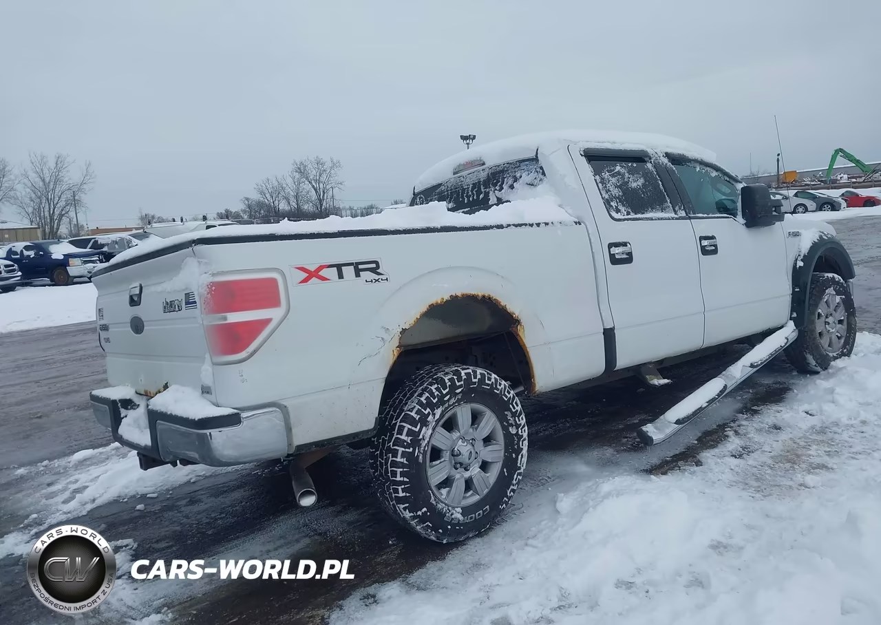 2010 Ford F-150 Fx4-Harley-Davidson-King Ranch-Lariat-Platinum-Xl-Xlt VIN:1FTFW1EV3AFA59402 - 4