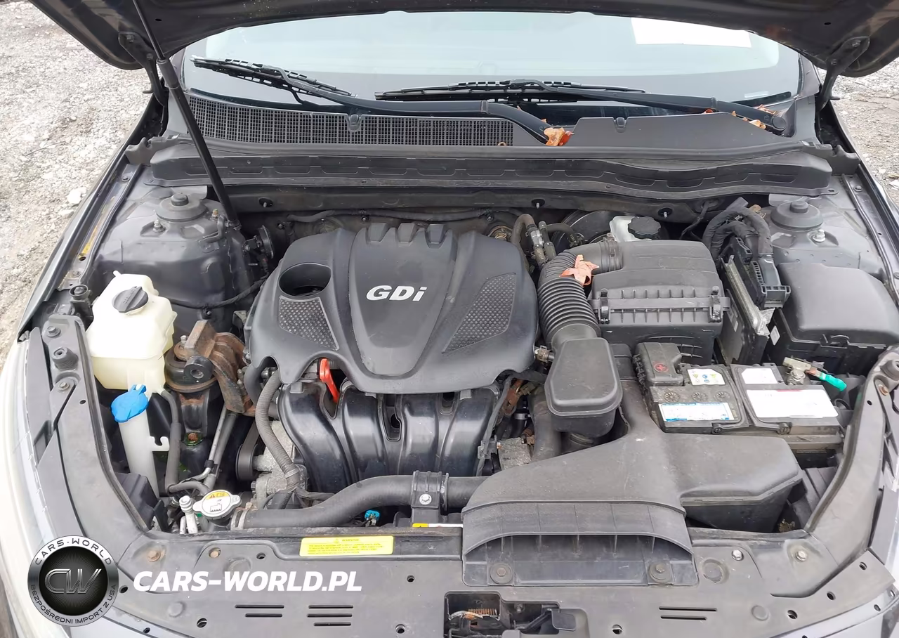 2015 Kia Optima Ex VIN:5XXGN4A73FG518758 - 10