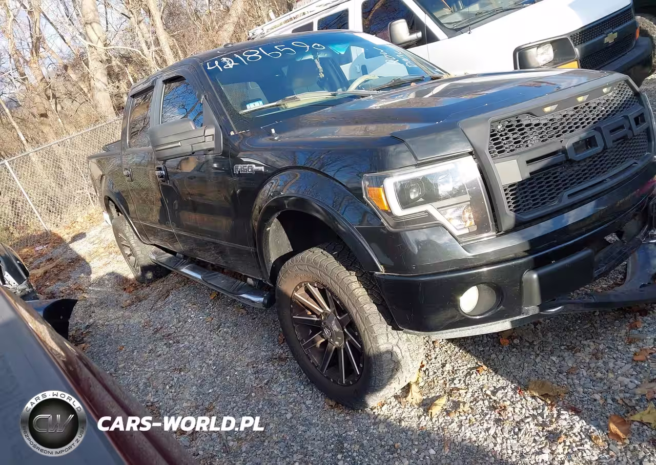 2009 Ford F-150 Fx4-King Ranch-Lariat-Platinum-Xl-Xlt