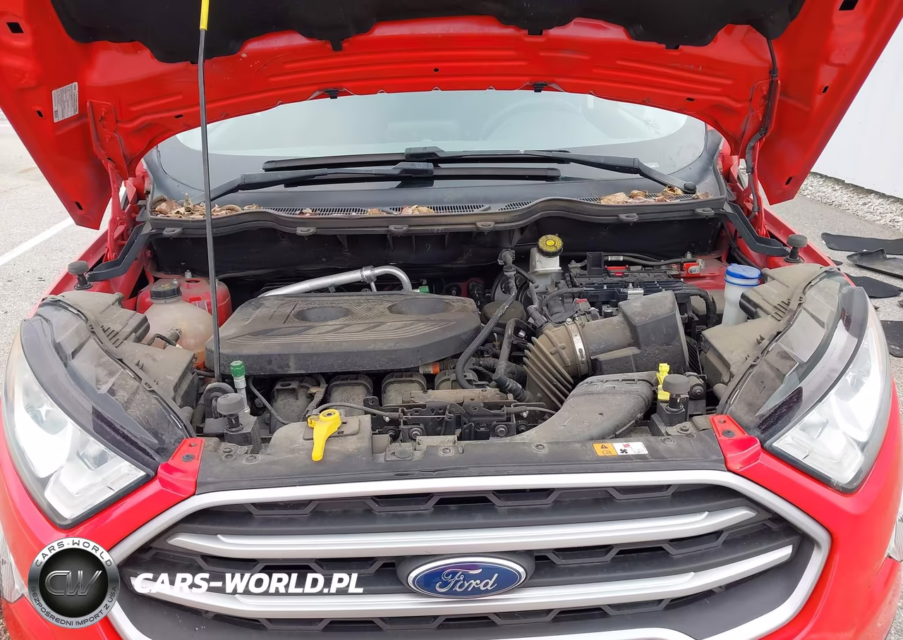 2018 Ford Ecosport Se VIN:MAJ6P1UL5JC199665 - 10