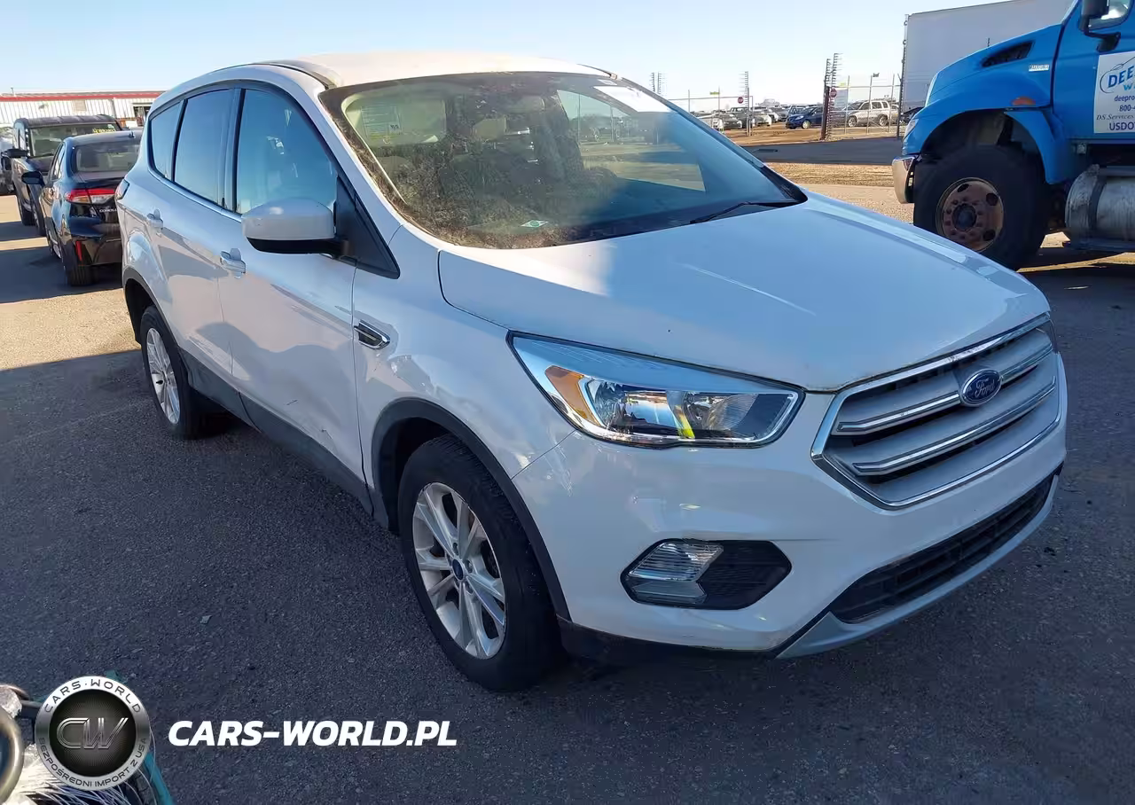 2019 Ford Escape Se