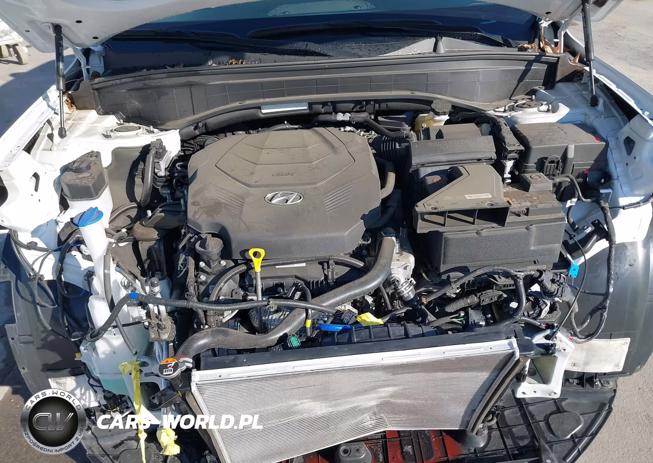2024 Hyundai Palisade Xrt VIN:KM8R34GE9RU792139 - 10