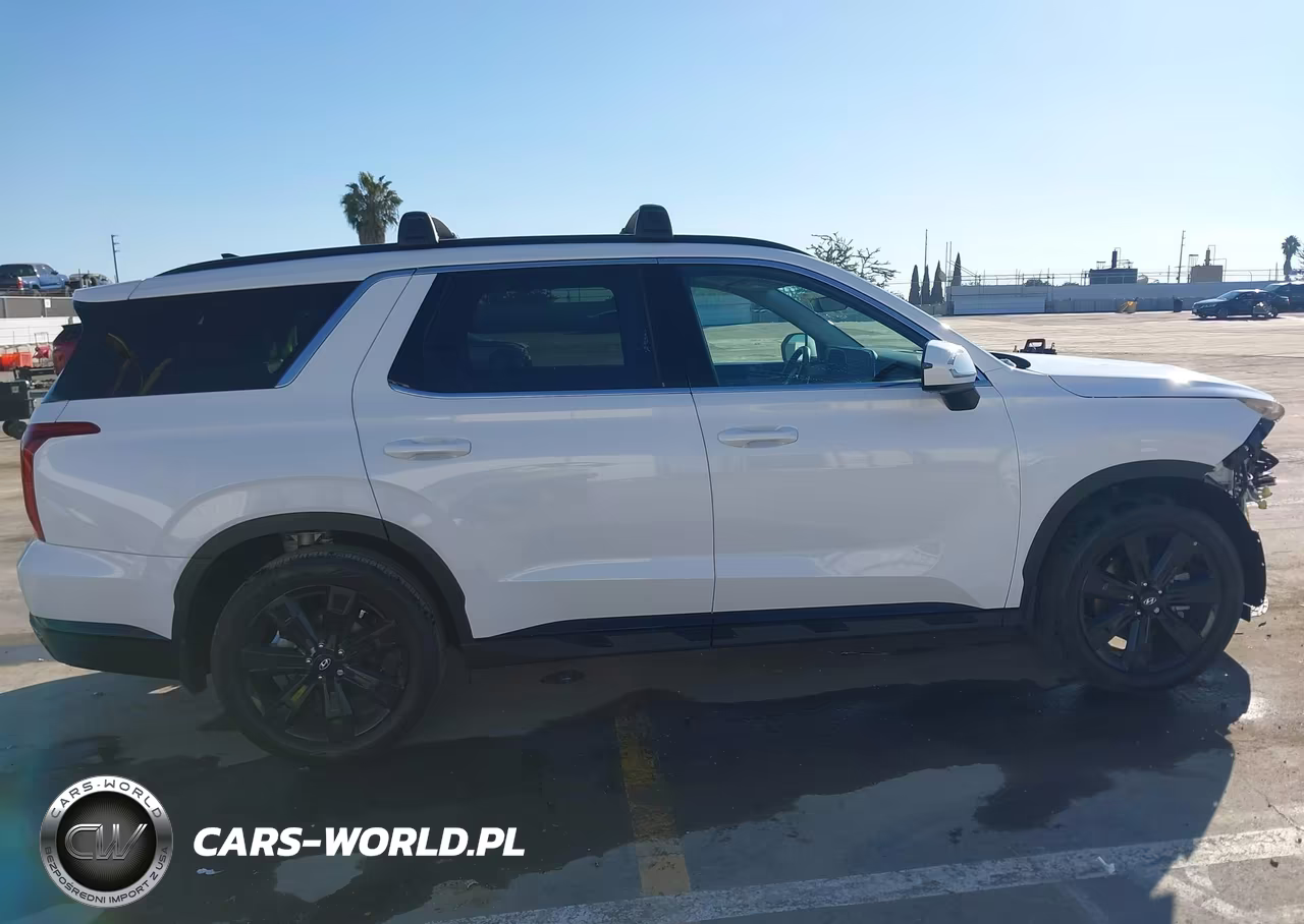 2024 Hyundai Palisade Xrt VIN:KM8R34GE9RU792139 - 14