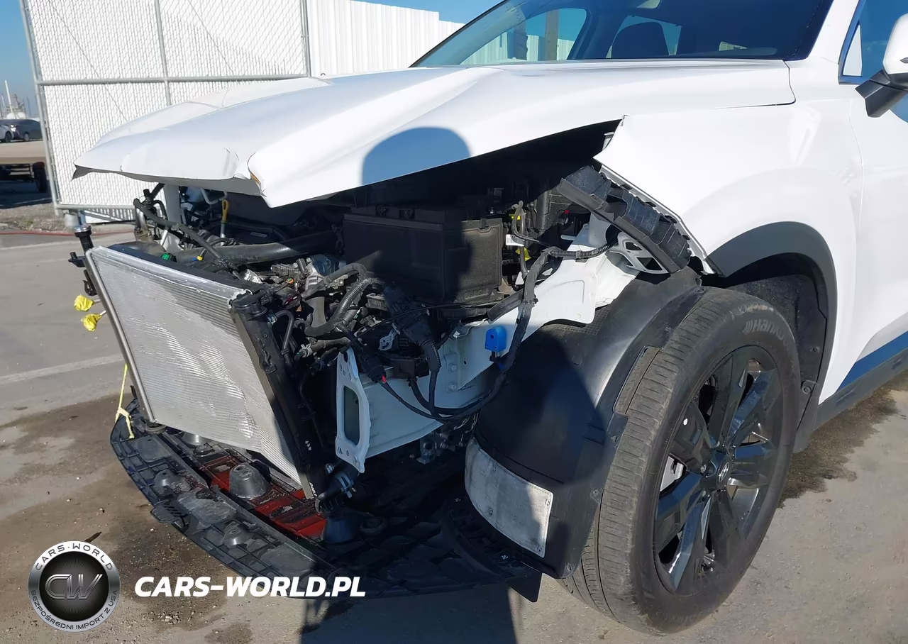 2024 Hyundai Palisade Xrt VIN:KM8R34GE9RU792139 - 6