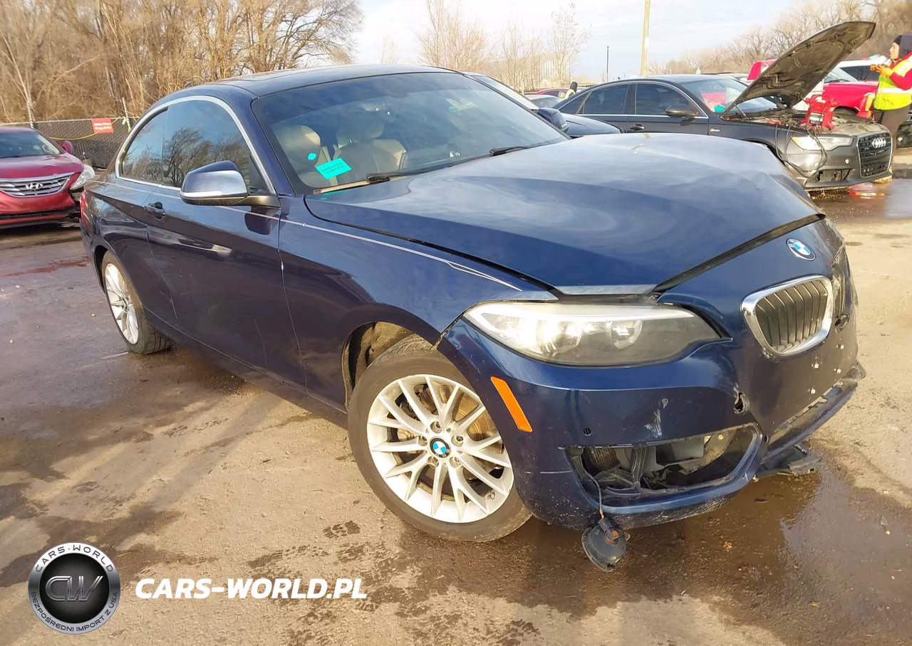 2016 BMW 228I
