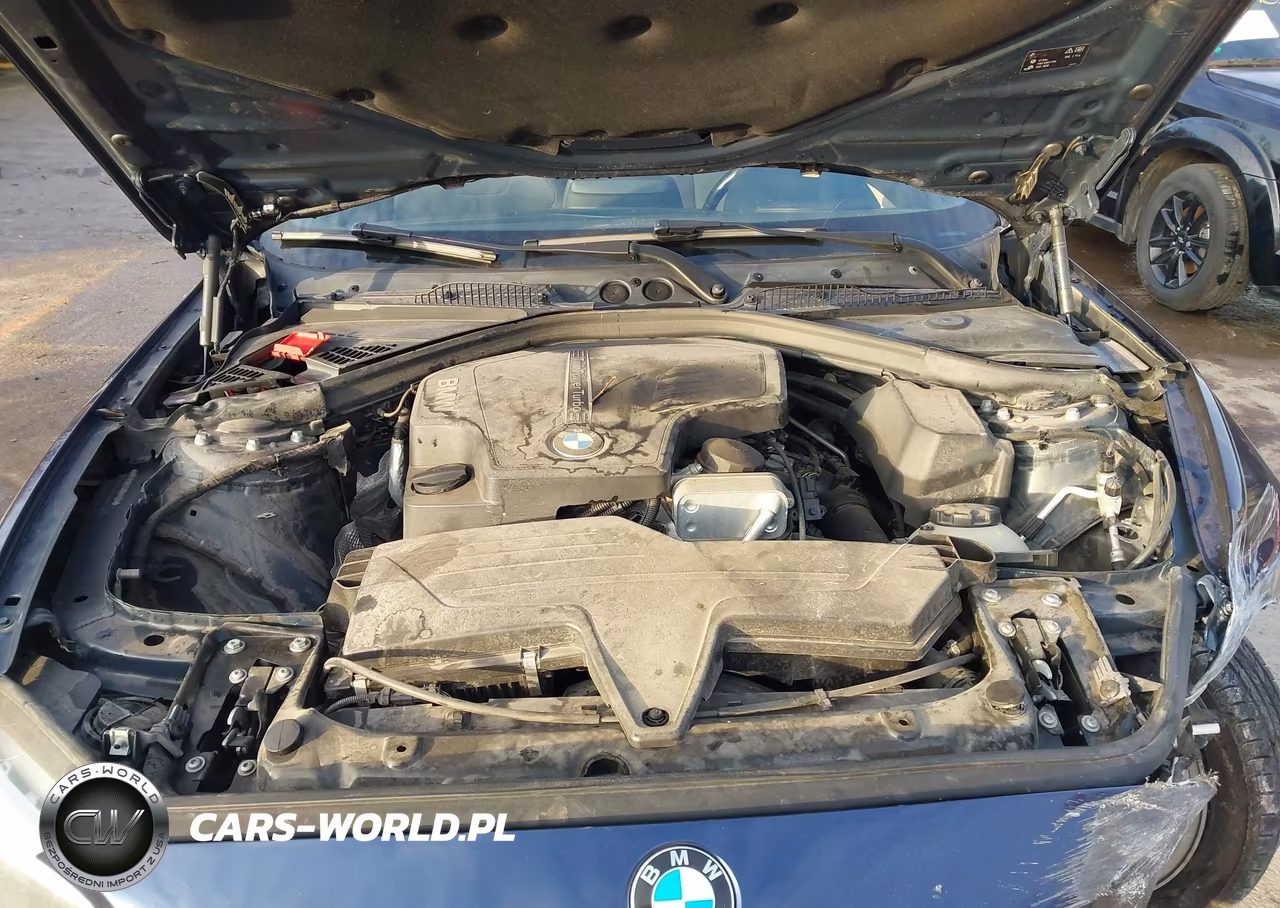 2016 BMW 228I VIN:WBA1F9C57GV544424 - 10