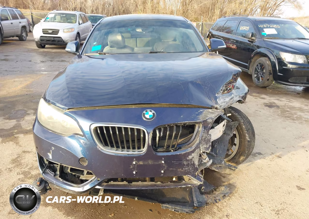 2016 BMW 228I VIN:WBA1F9C57GV544424 - 12