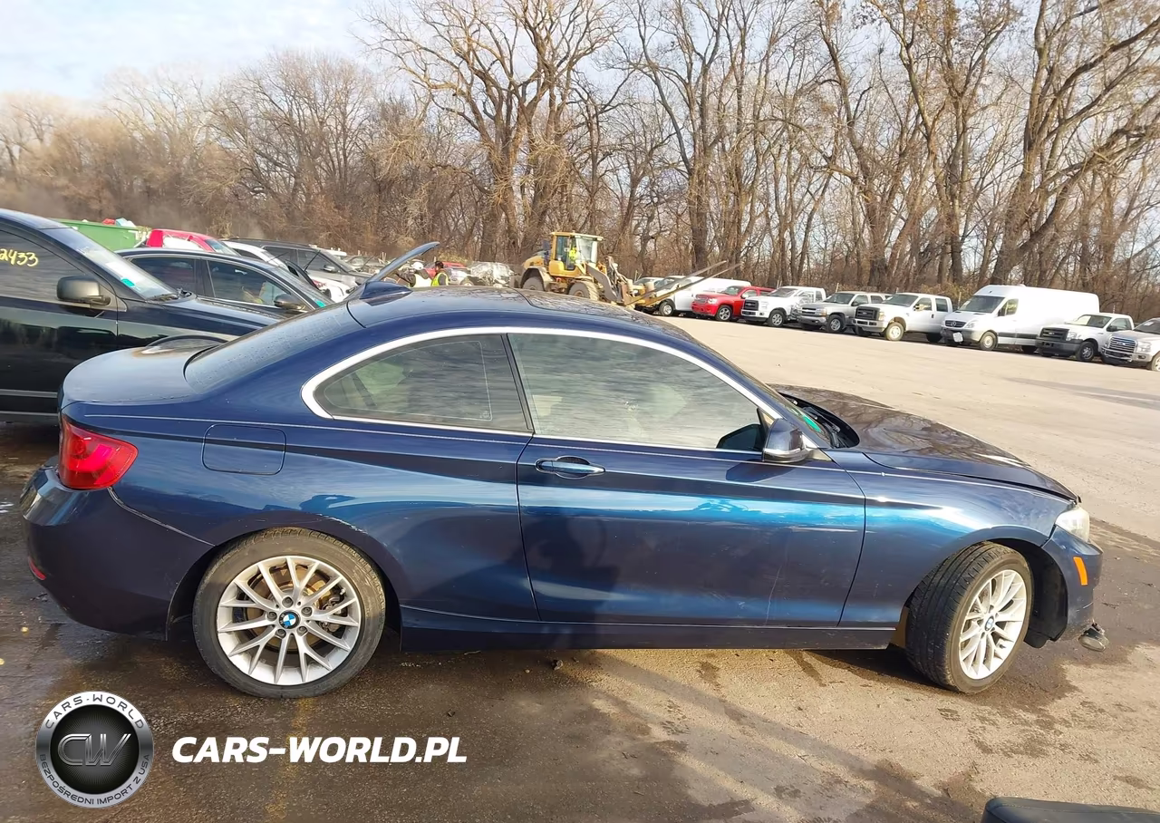 2016 BMW 228I VIN:WBA1F9C57GV544424 - 13