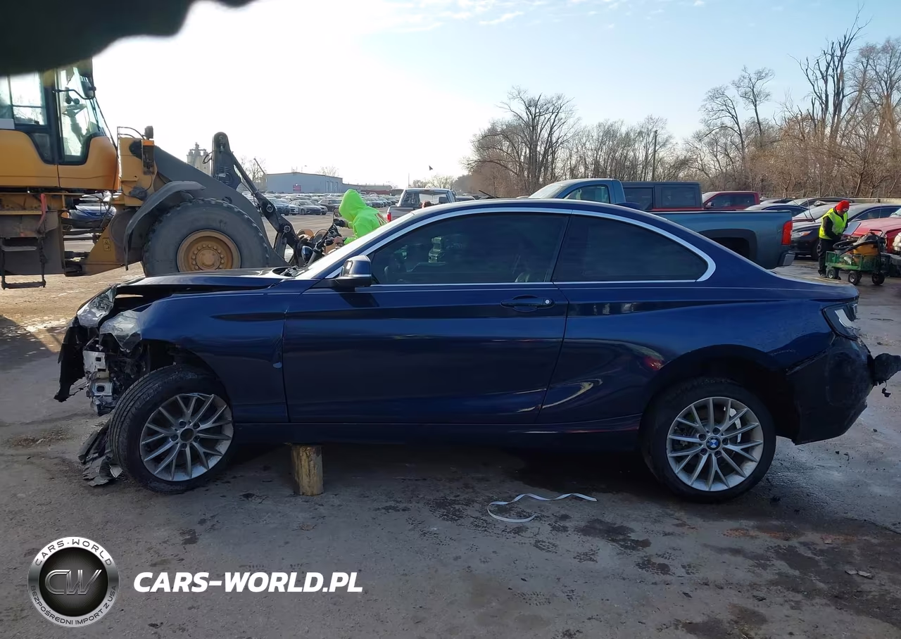 2016 BMW 228I VIN:WBA1F9C57GV544424 - 14