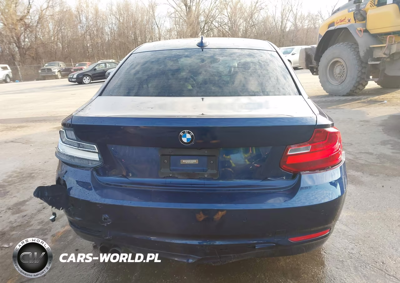2016 BMW 228I VIN:WBA1F9C57GV544424 - 16