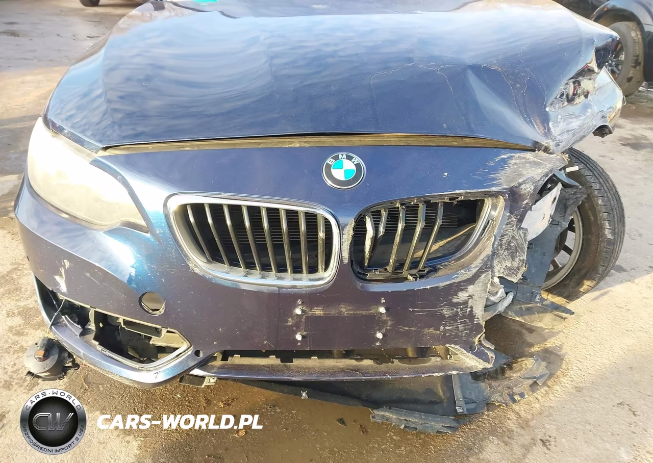 2016 BMW 228I VIN:WBA1F9C57GV544424 - 17