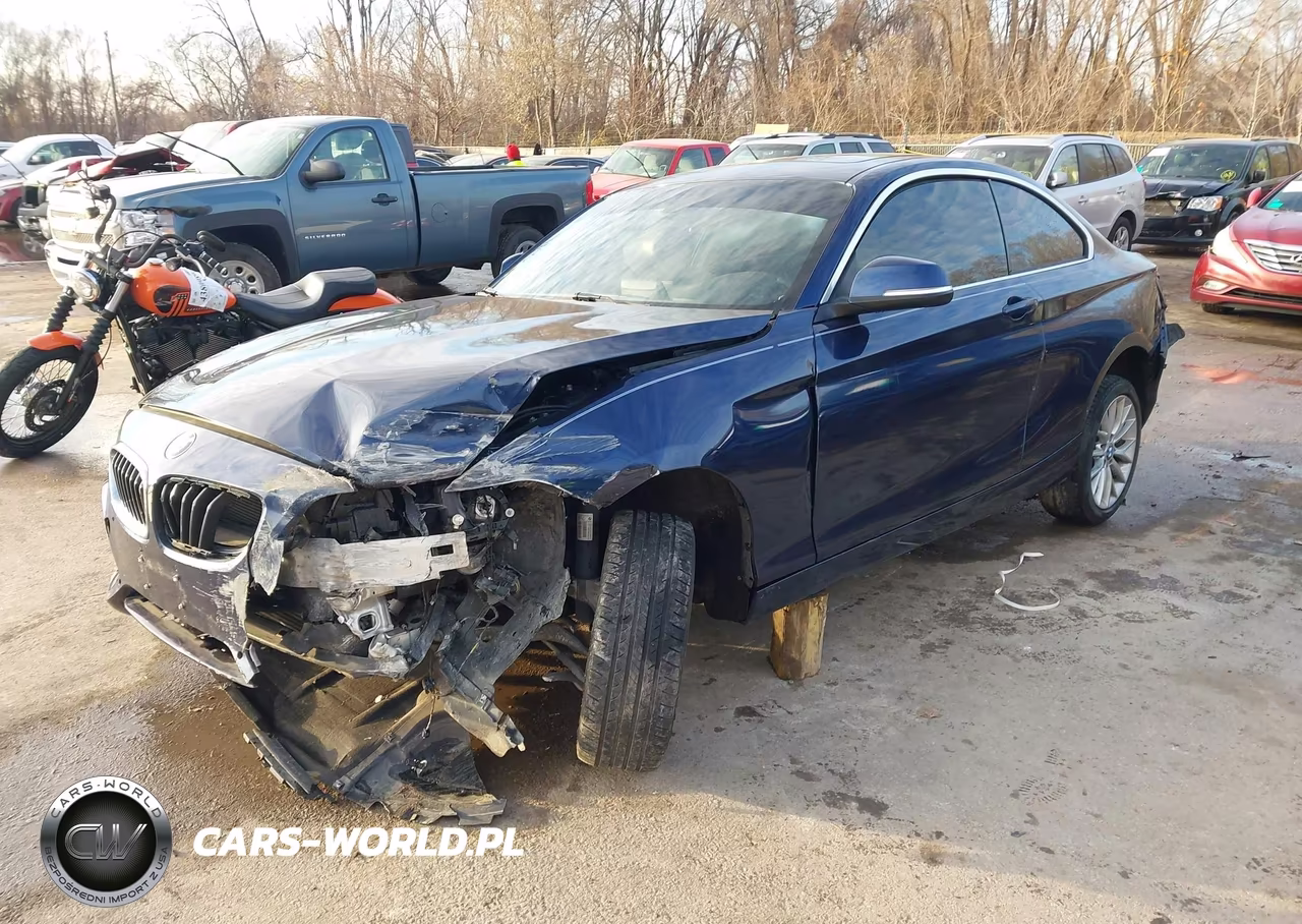 2016 BMW 228I VIN:WBA1F9C57GV544424 - 2
