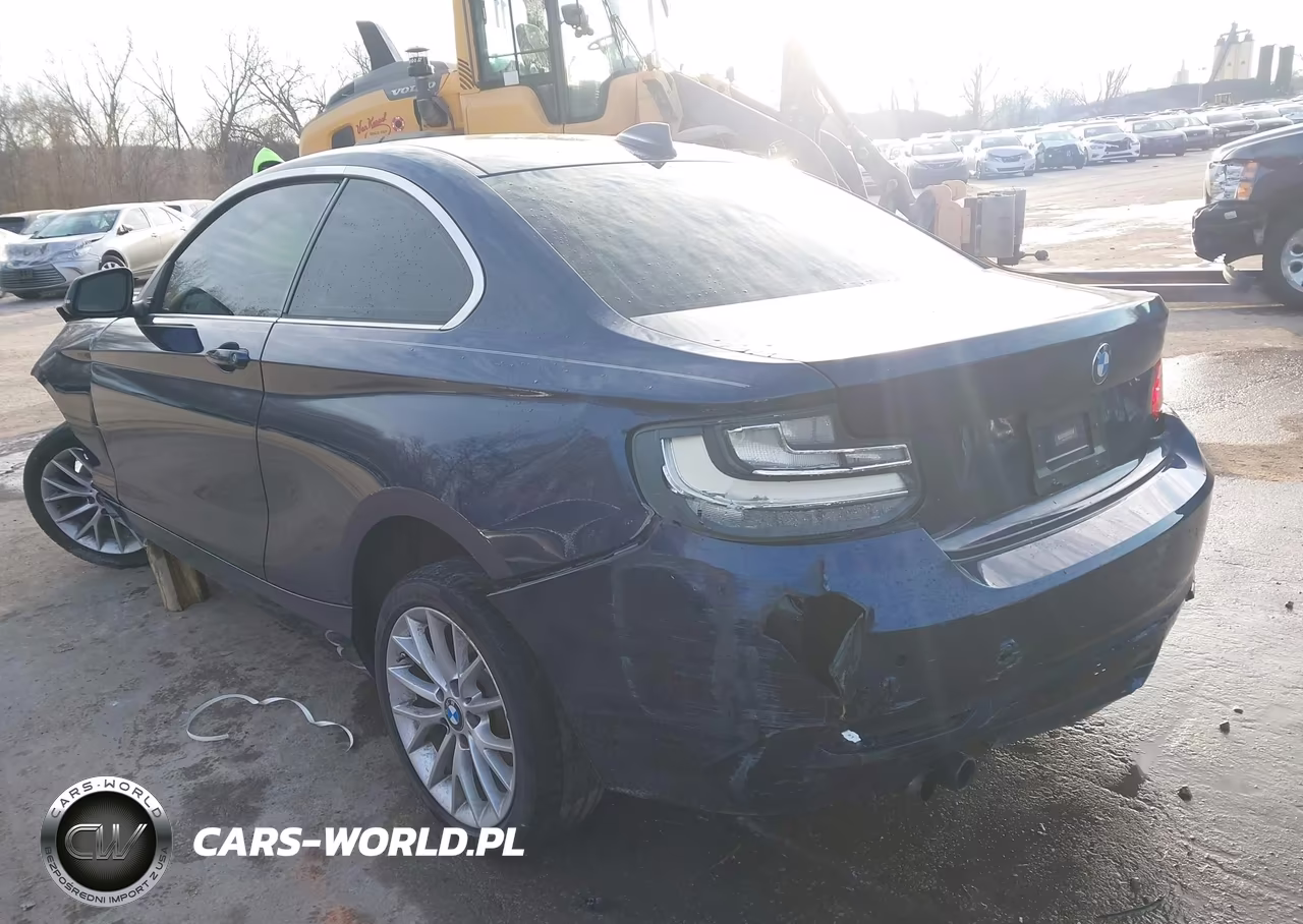 2016 BMW 228I VIN:WBA1F9C57GV544424 - 3