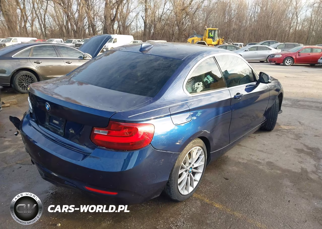 2016 BMW 228I VIN:WBA1F9C57GV544424 - 4