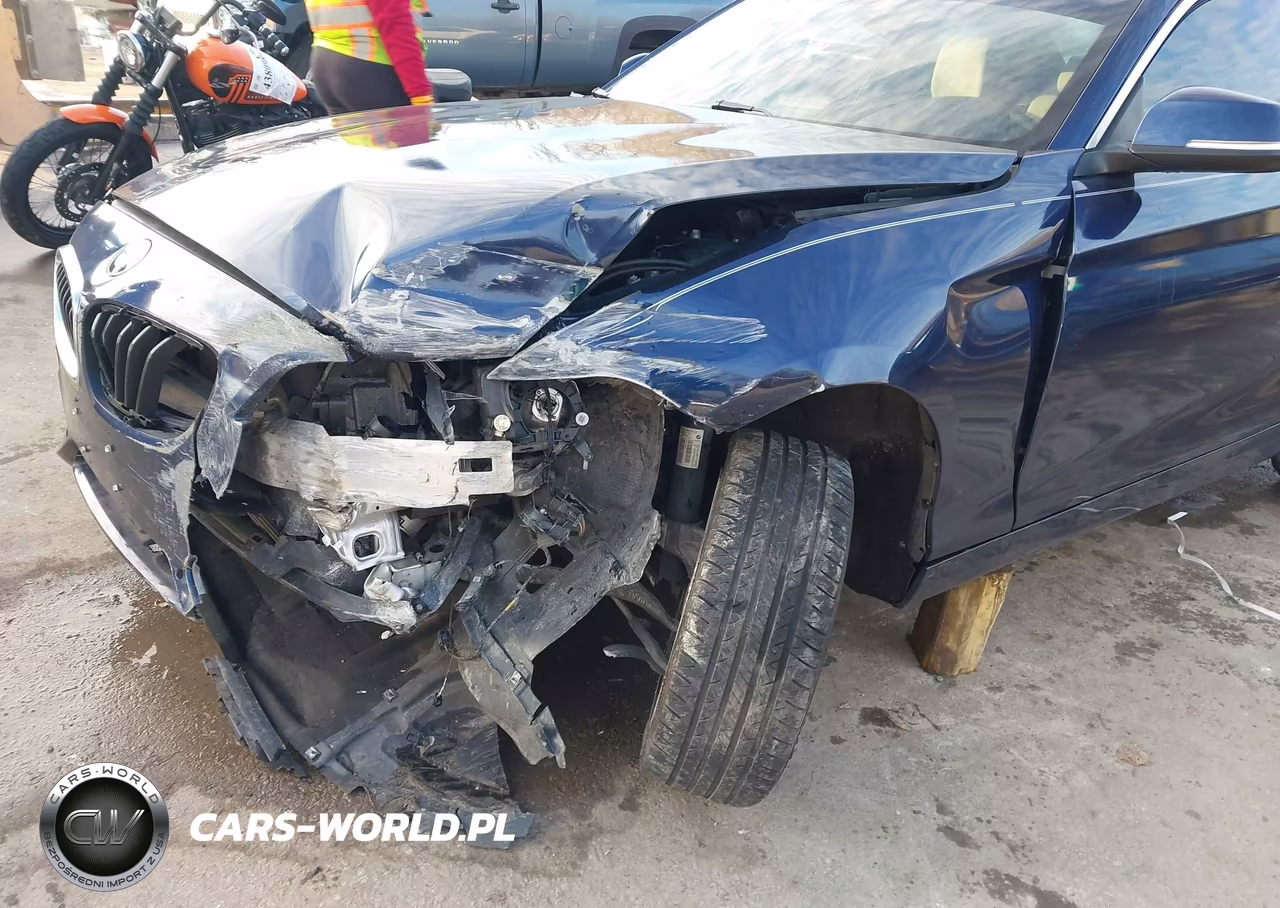 2016 BMW 228I VIN:WBA1F9C57GV544424 - 6