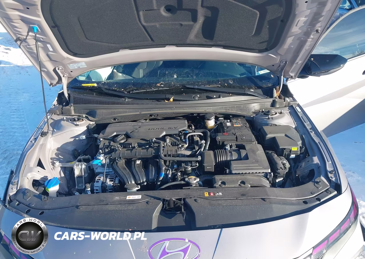 2025 Hyundai Elantra Se VIN:KMHLL4DG2SU030434 - 10