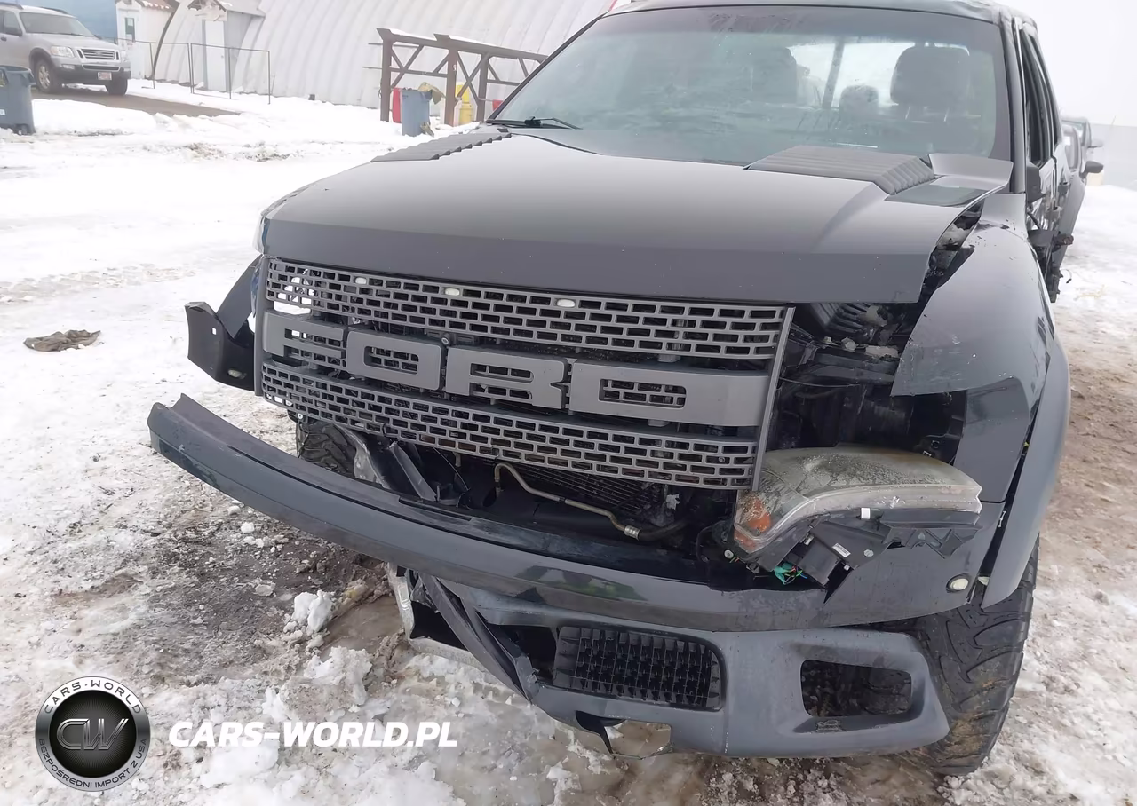 2013 Ford F-150 Svt Raptor VIN:1FTFW1R69DFB12708 - 12