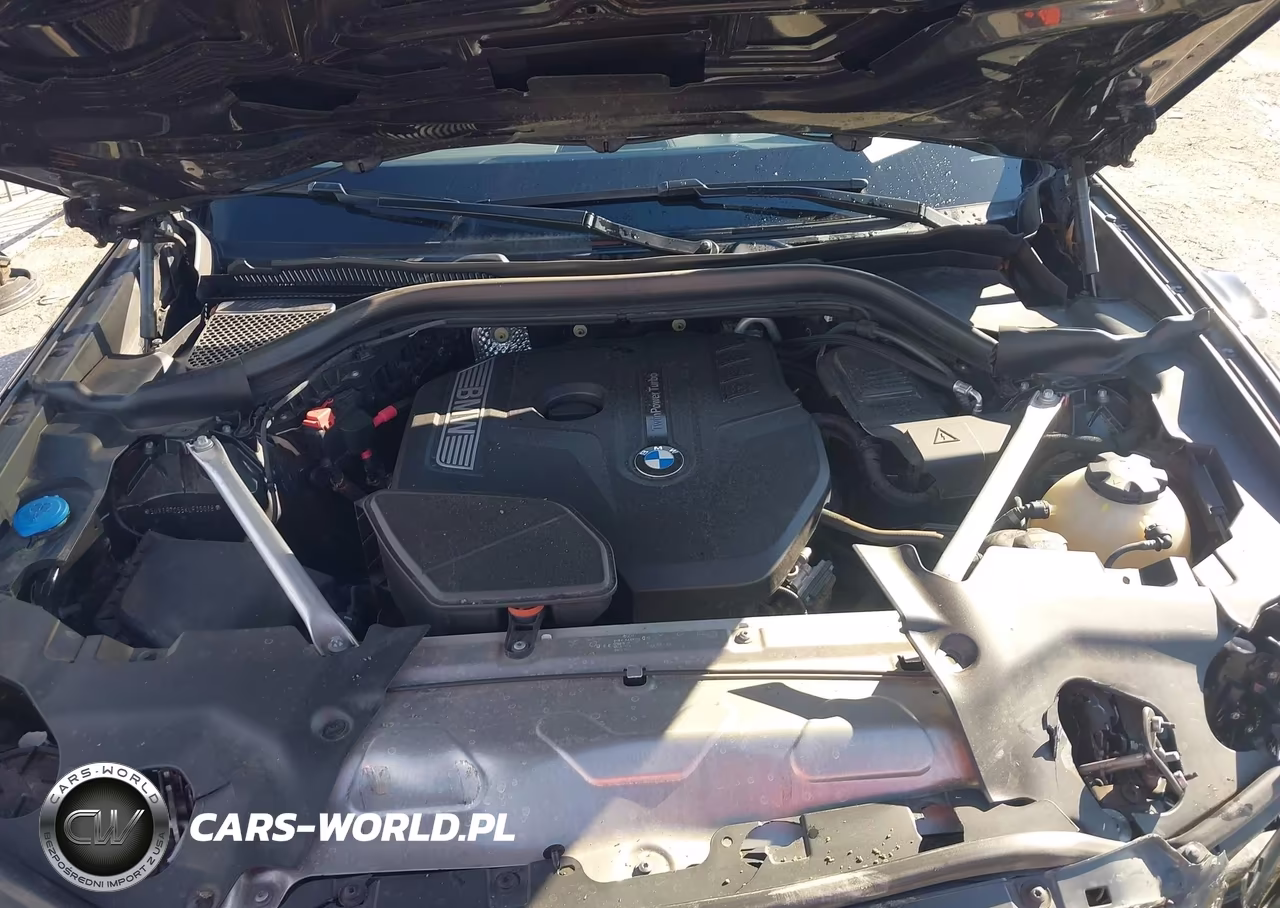 2019 BMW X3 Sdrive30I VIN:5UXTR7C55KLF35038 - 10