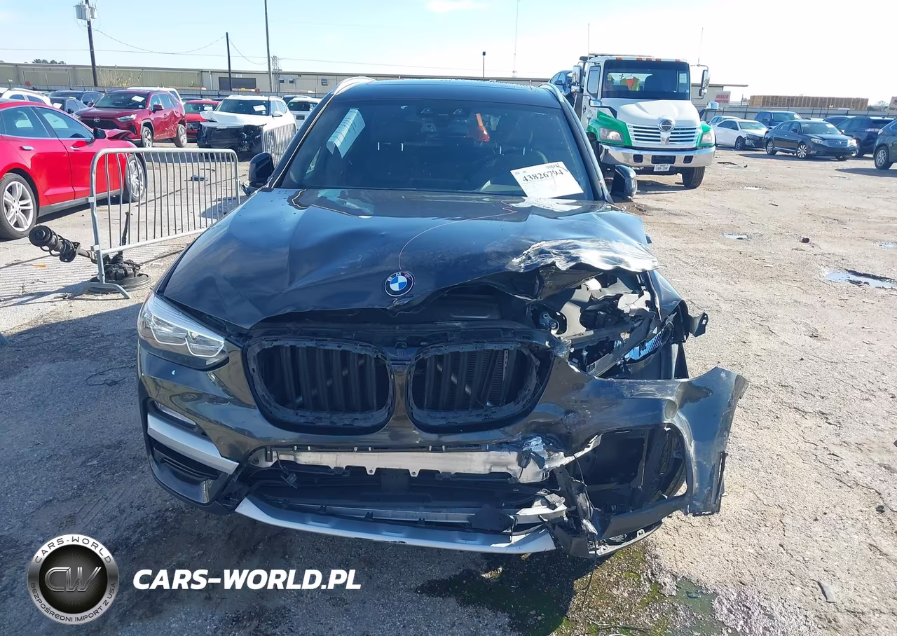 2019 BMW X3 Sdrive30I VIN:5UXTR7C55KLF35038 - 12