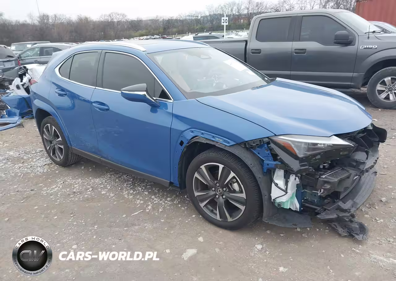 2025 Lexus Ux 300H Premium