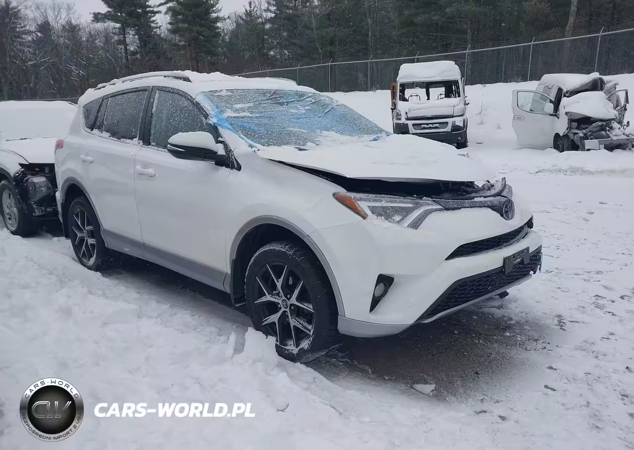2017 Toyota Rav4 Se