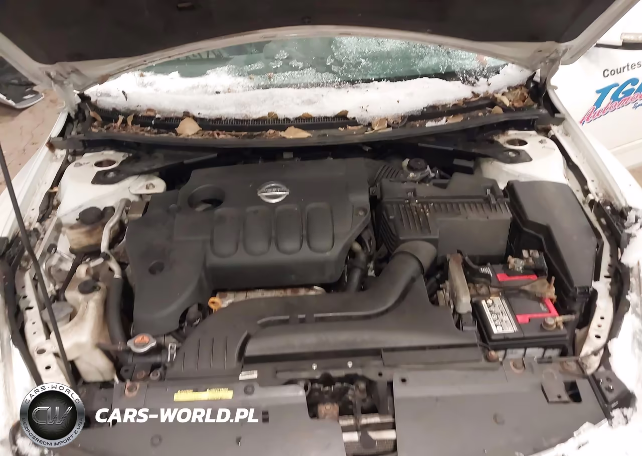 2010 Nissan Altima 2.5 S VIN:1N4AL2AP4AN457245 - 10