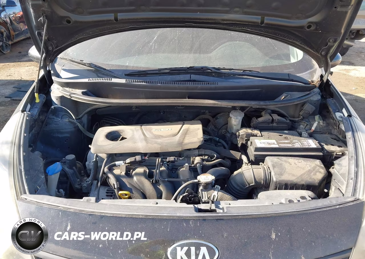 2017 Kia Rio Lx VIN:KNADM4A39H6035034 - 10