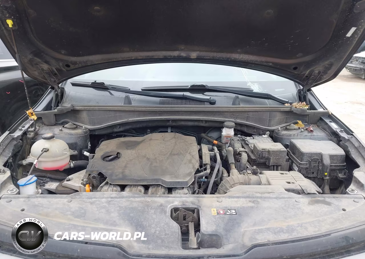 2023 Kia Sportage X-Line VIN:5XYK6CAF5PG115998 - 10
