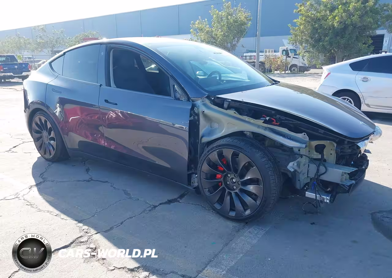 2023 Tesla Model Y Performance Dual Motor All-Wheel Drive