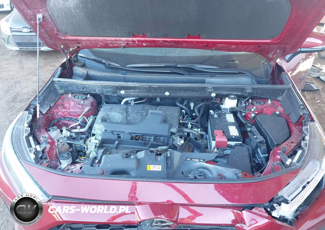 2025 Toyota Rav4 Xle VIN:2T3W1RFV4SW411799 - 10