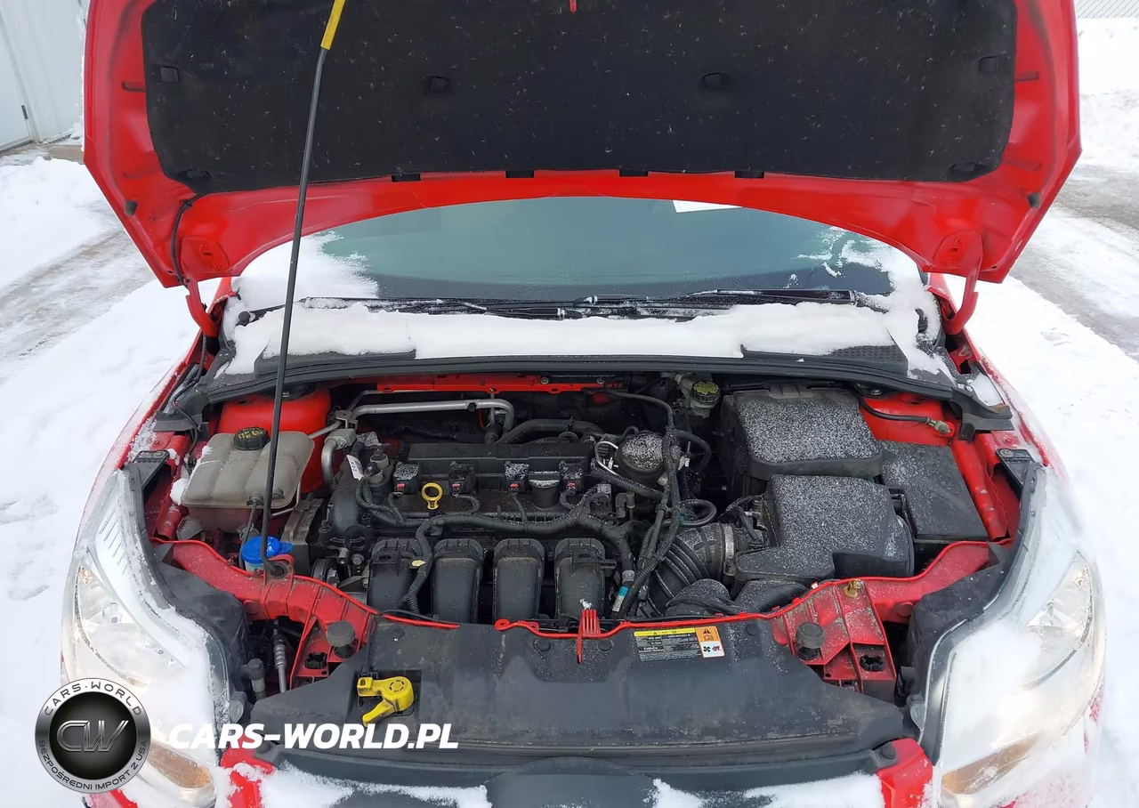 2014 Ford Focus Se VIN:1FADP3F29EL262974 - 10
