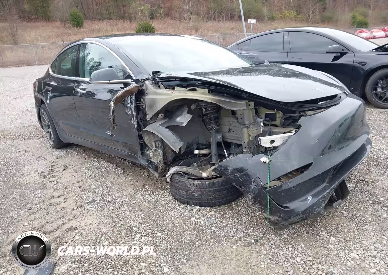 2019 Tesla Model 3 Long Range-Mid Range-Standard Range-Standard Range Plus