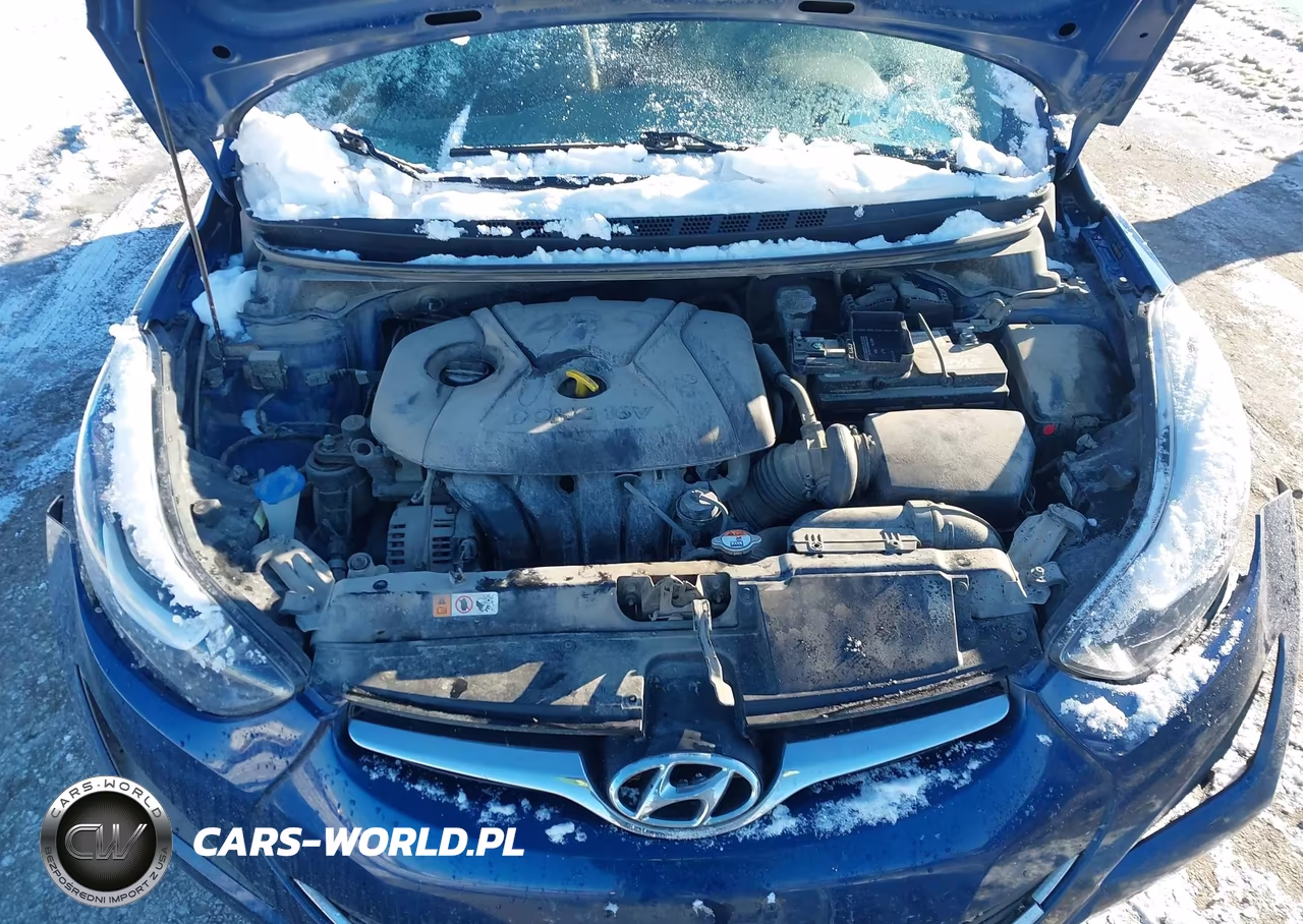 2016 Hyundai Elantra Se VIN:5NPDH4AEXGH745735 - 10