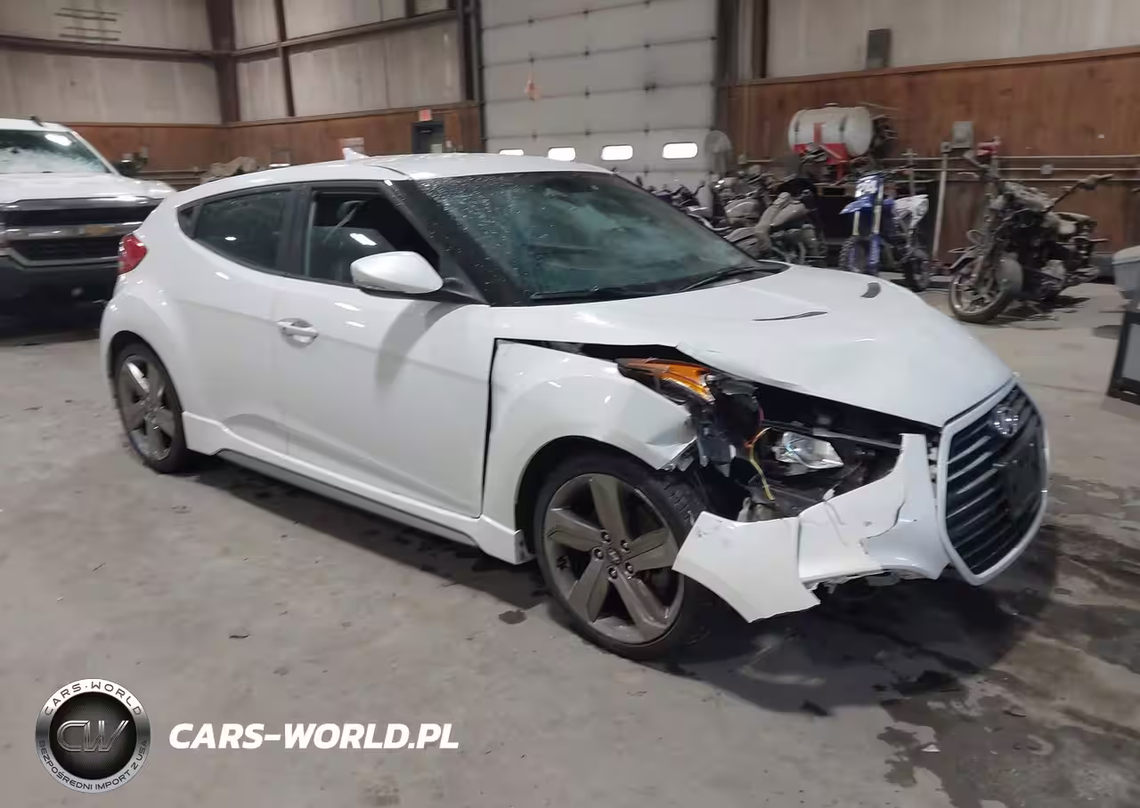 2013 Hyundai Veloster Turbo W-Black