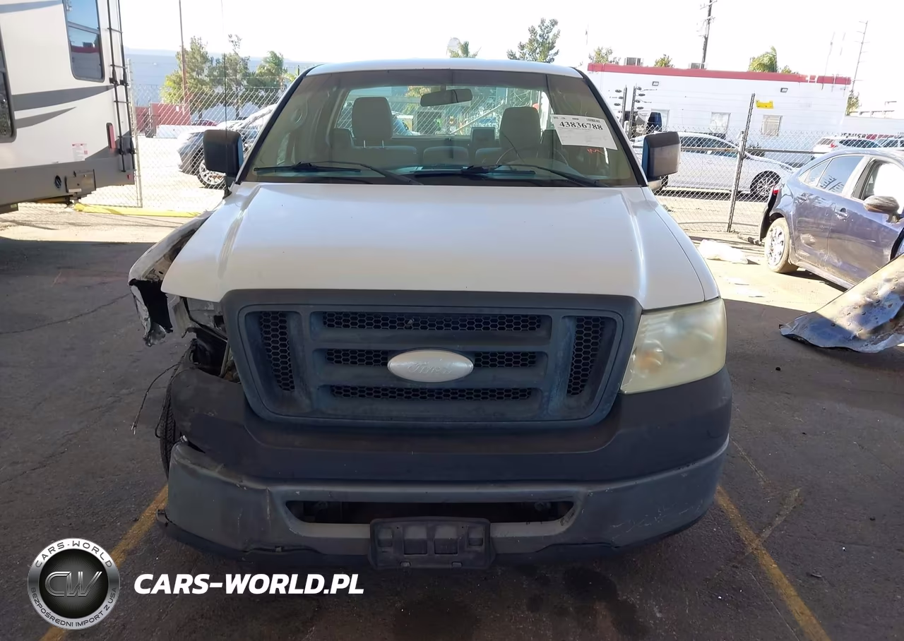 2006 Ford F-150 Stx-Xl-Xlt VIN:1FTRF12246NA97757 - 12