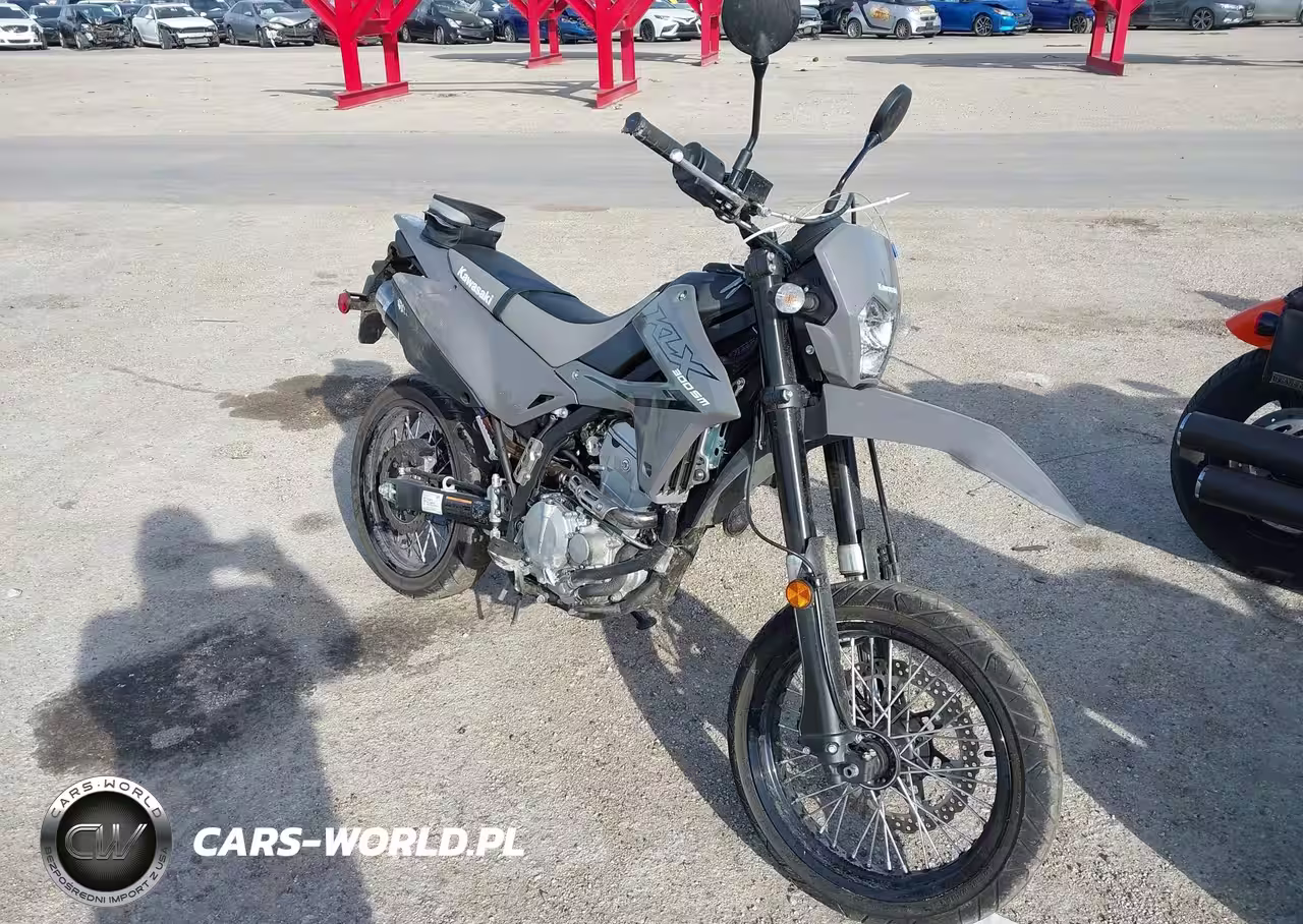 2025 Kawasaki Klx300 S