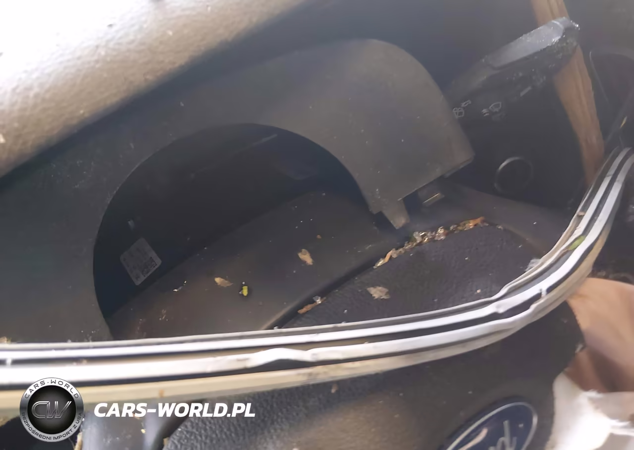 2016 Ford Focus St VIN:1FADP3L98GL210076 - 15