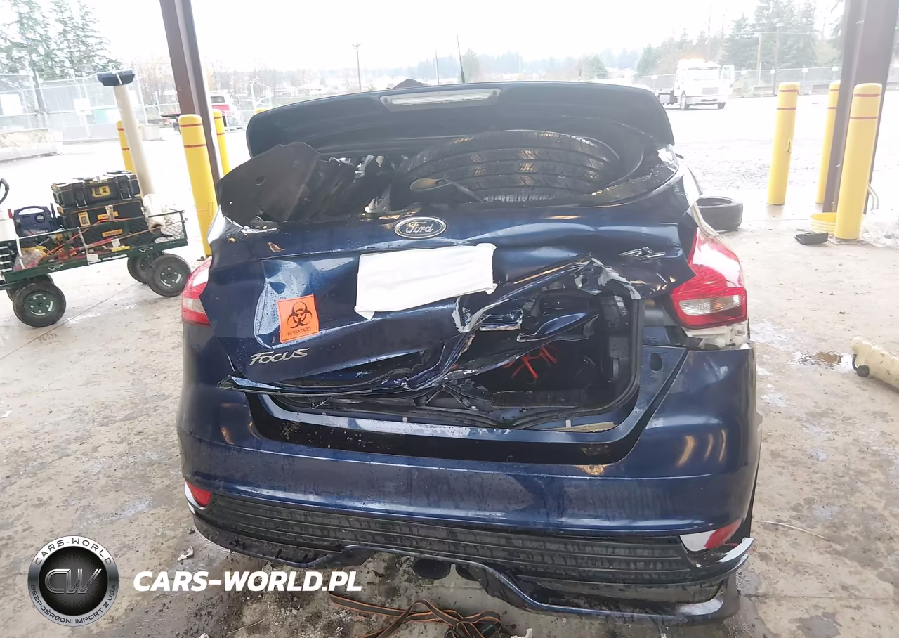 2016 Ford Focus St VIN:1FADP3L98GL210076 - 16