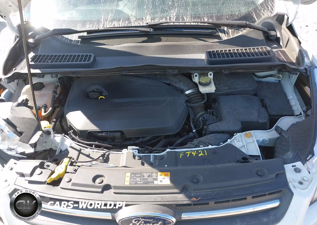 2014 Ford Escape Se VIN:1FMCU0GXXEUA23480 - 10