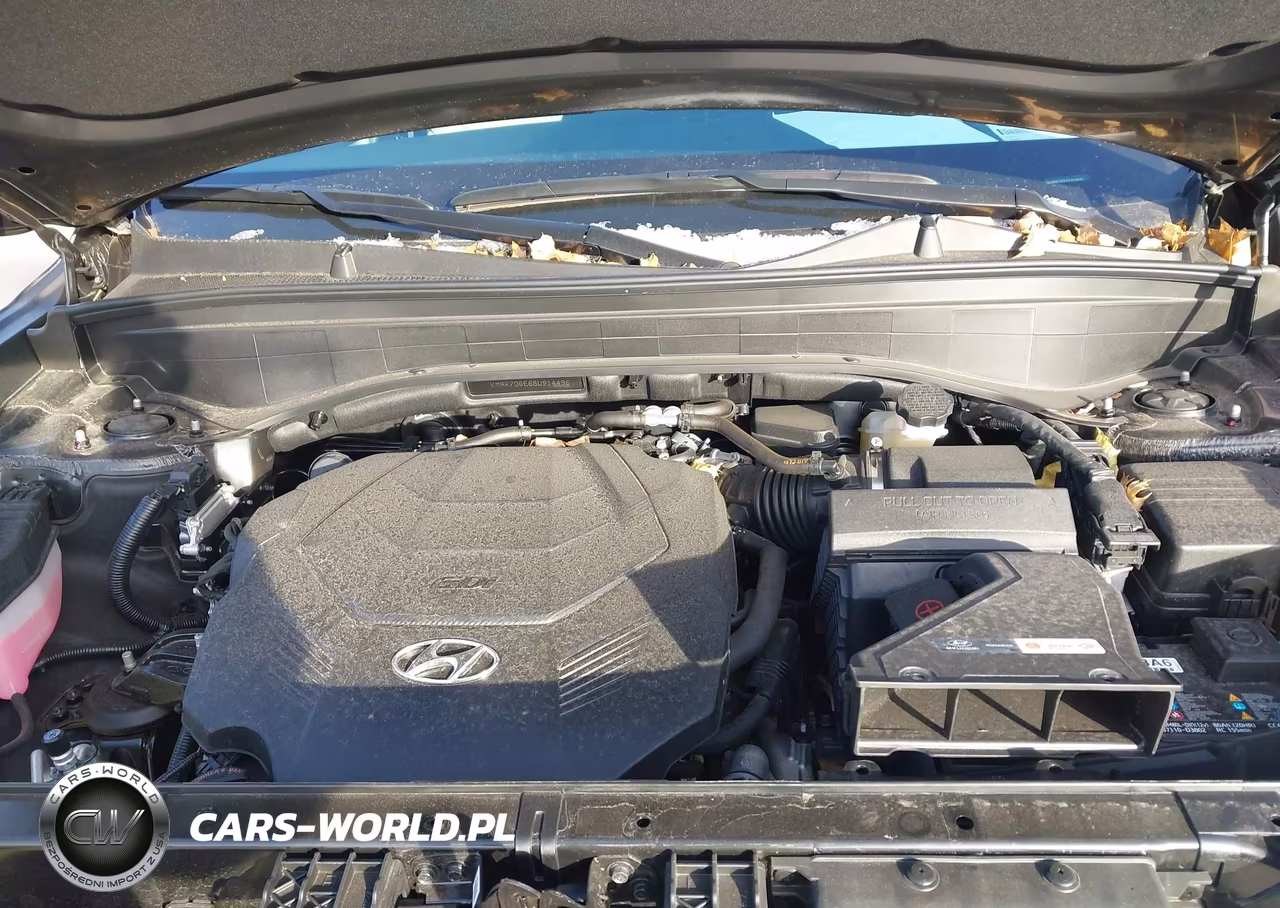 2025 Hyundai Palisade Calligraphy VIN:KM8R7DGE6SU914496 - 10