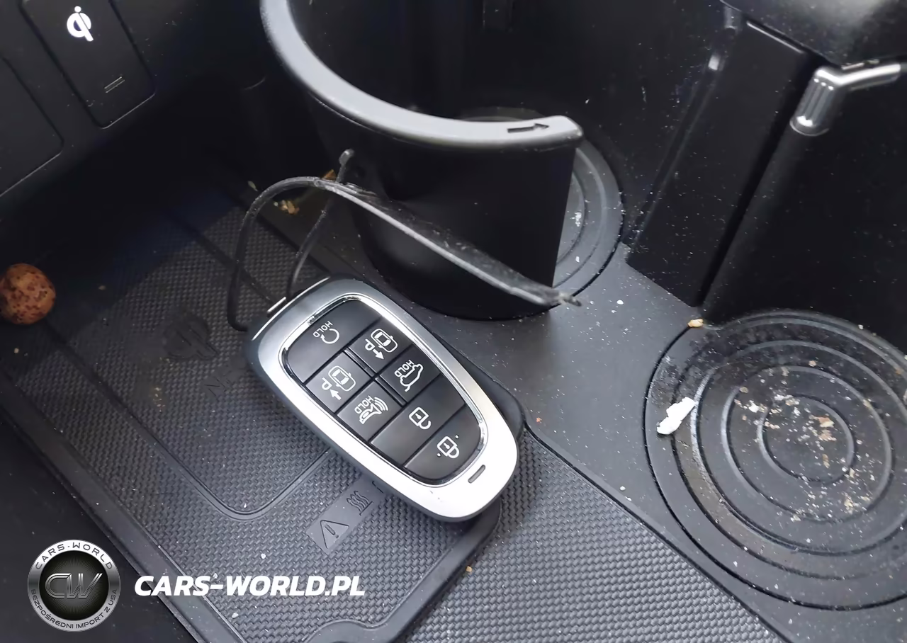 2025 Hyundai Palisade Calligraphy VIN:KM8R7DGE6SU914496 - 11
